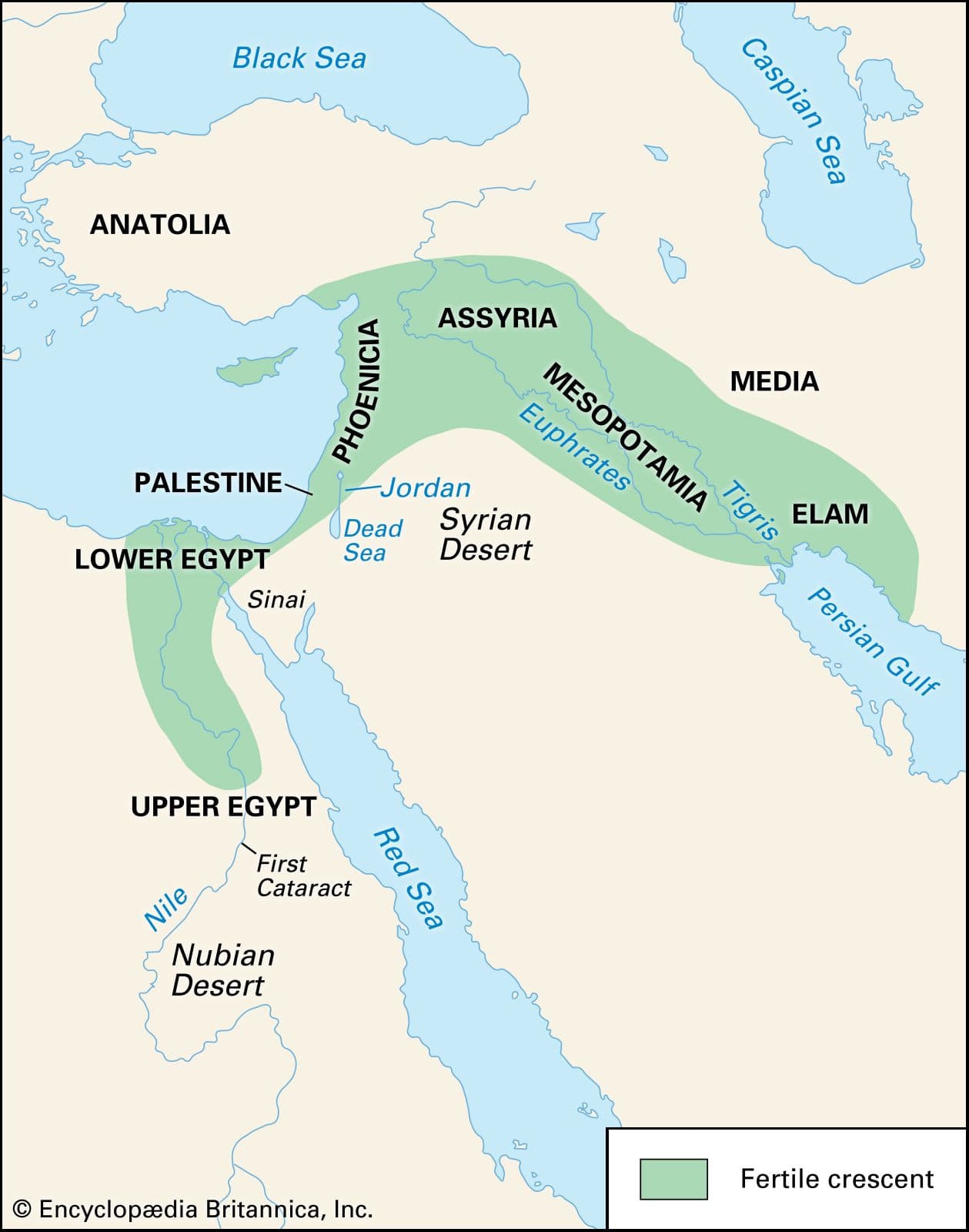 Fact Check: Archaeological evidence supports ancient trade between North Africa and the Fertile Crescent.