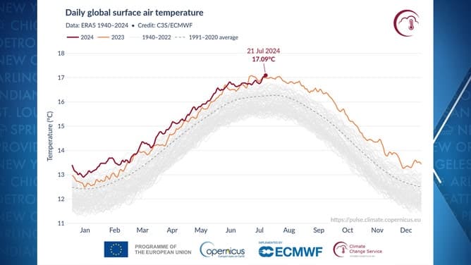 Fact Check: The Earth's average temperature has increased over the past century.