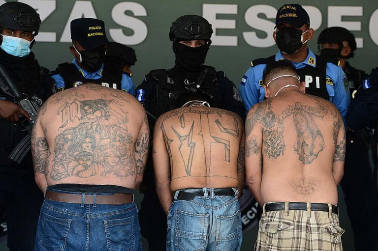 Fact Check: The MS-13 gang is known for its violent activities.