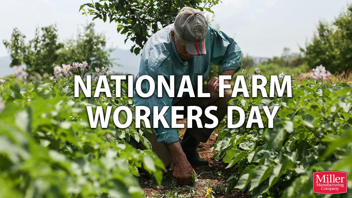 Fact Check: Farmworkers in the U.S. often face economic necessity to continue working despite risks.