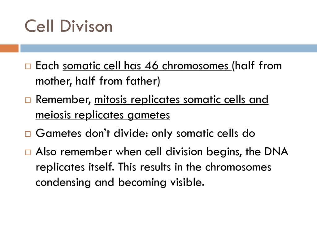 Fact Check: Humans have 46 chromosomes in their somatic cells.