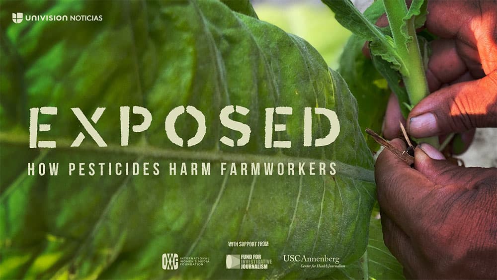 Fact Check: Farmworkers in the U.S. often work in dangerous conditions.