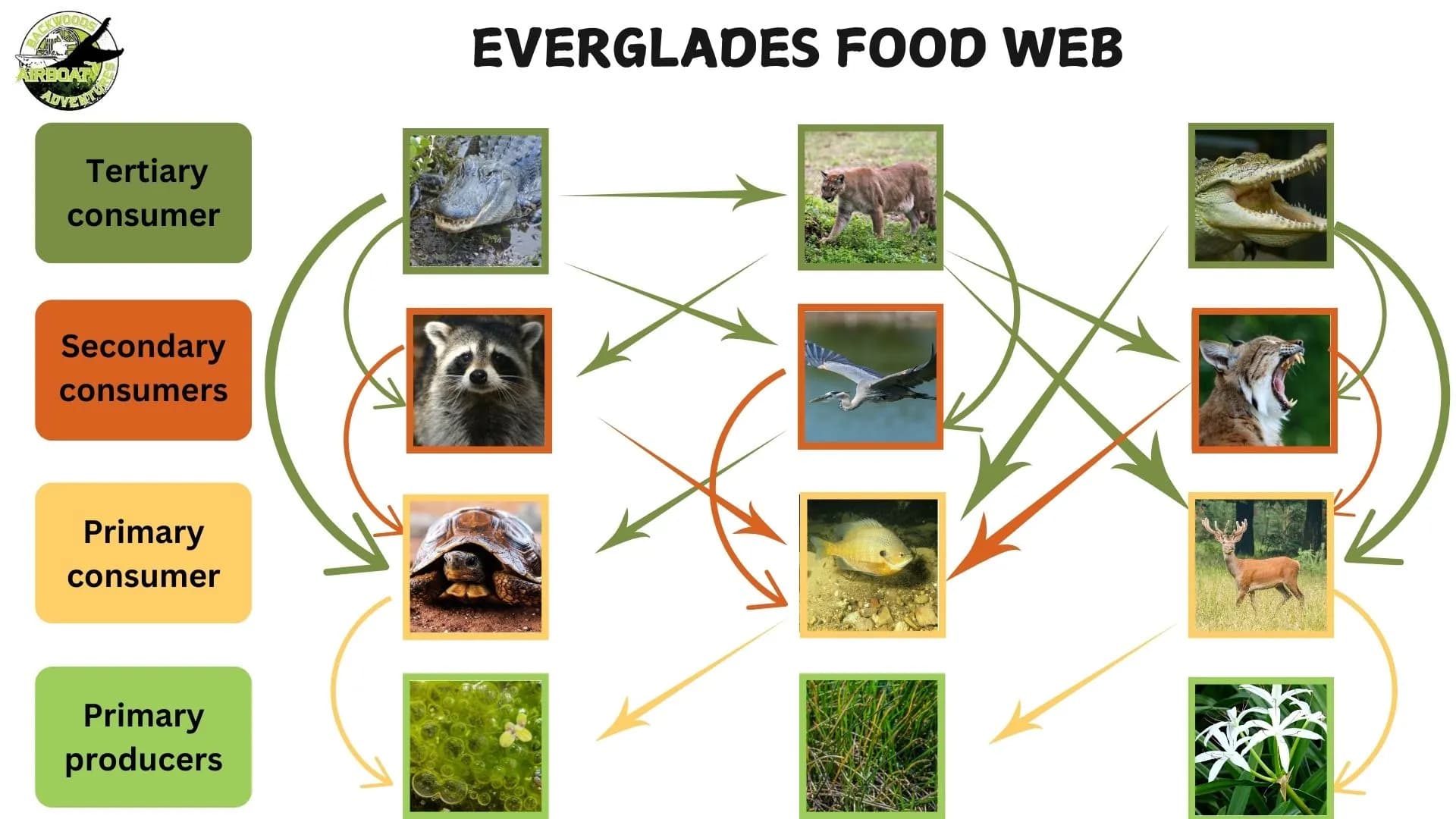 Fact Check: The Florida Everglades is a fragile ecosystem.