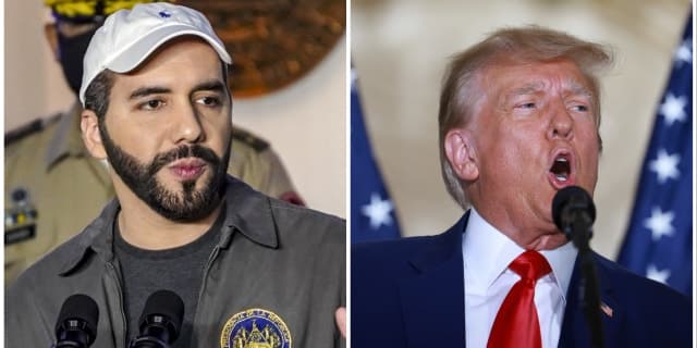 Fact Check: President Trump is planning on sending American Citizens to El Salvador prisons.
