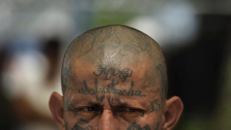 Fact Check: Mara Salvatrucha is another name for MS-13.