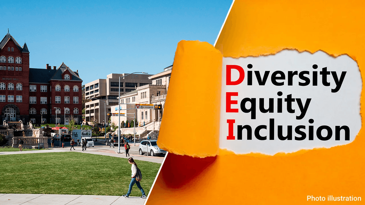 Fact Check: DEI is racist