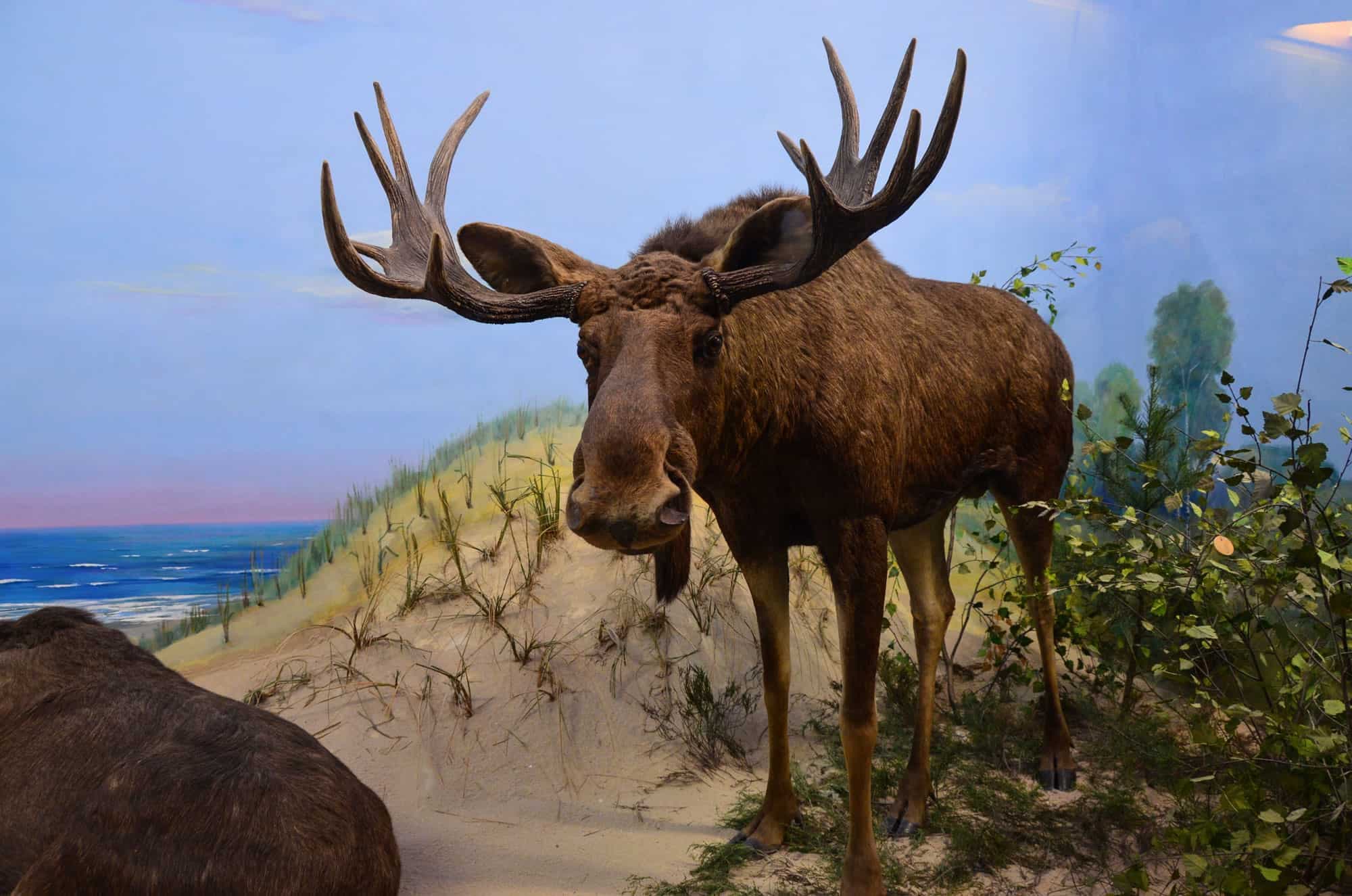 Fact Check: Florida is known for its warm climate and diverse wildlife.