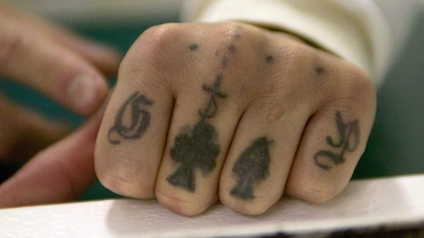 Fact Check: MS-13 is a well-known street gang originating from Central America.
