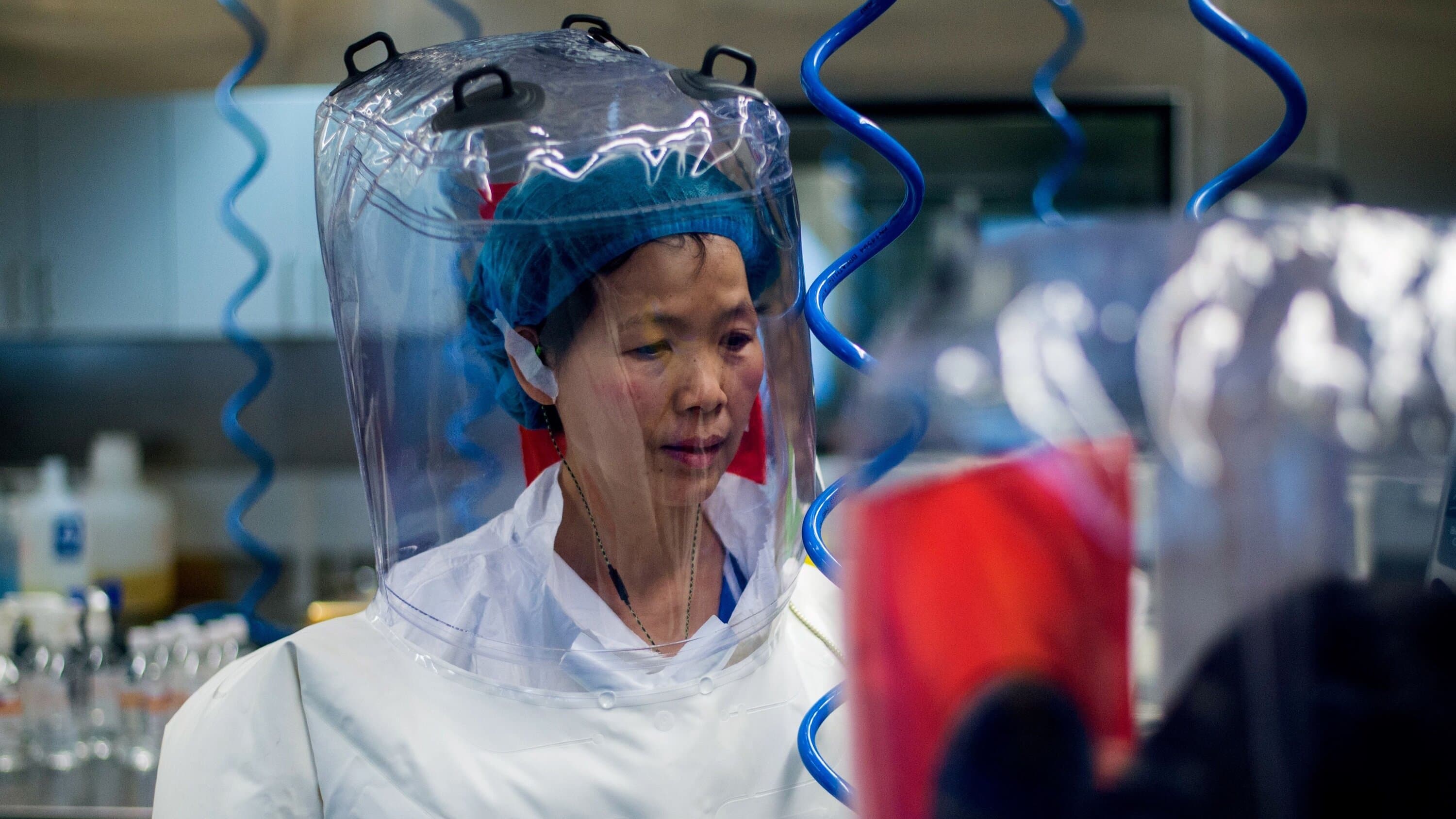 Fact Check: COVID 19 leaked from a lab in China 
