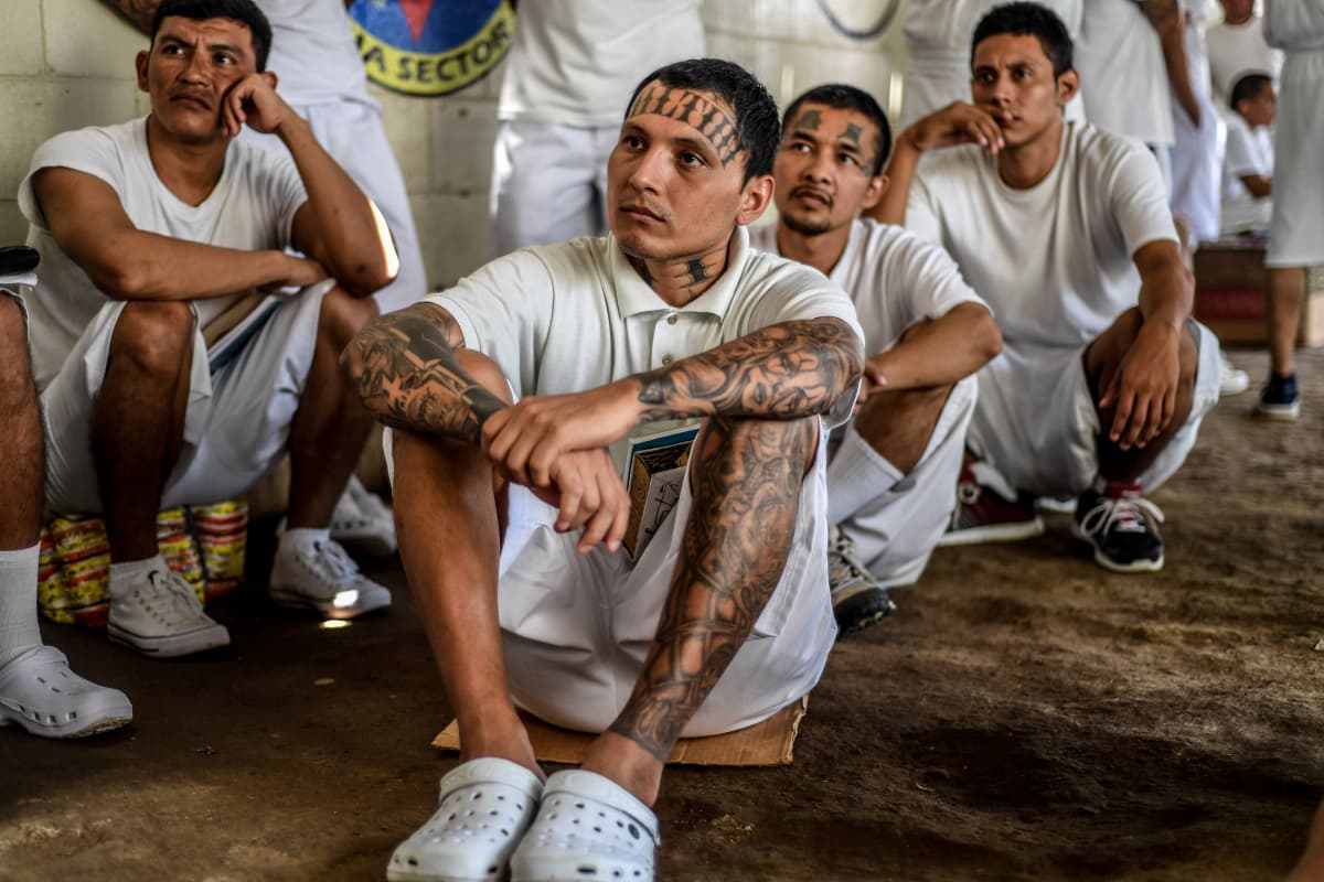 Fact Check: Chicago Bulls hat represents a member in good standing with MS-13