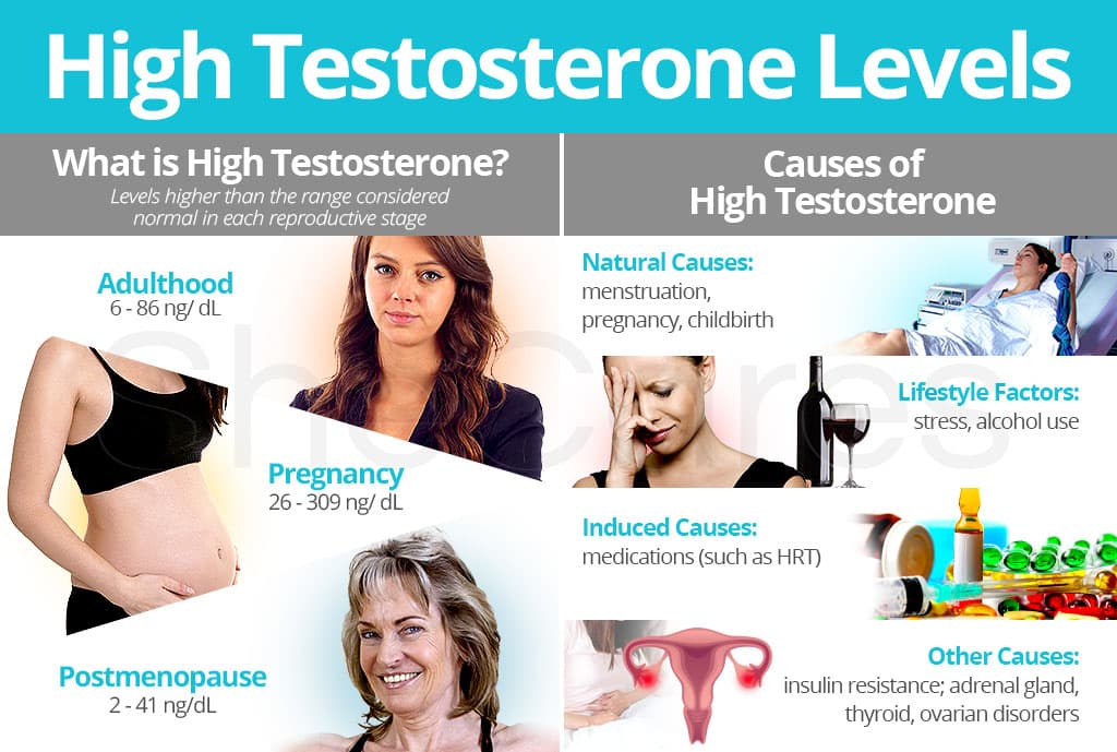 Fact Check: Transgender women have higher testosterone levels than cisgender women.