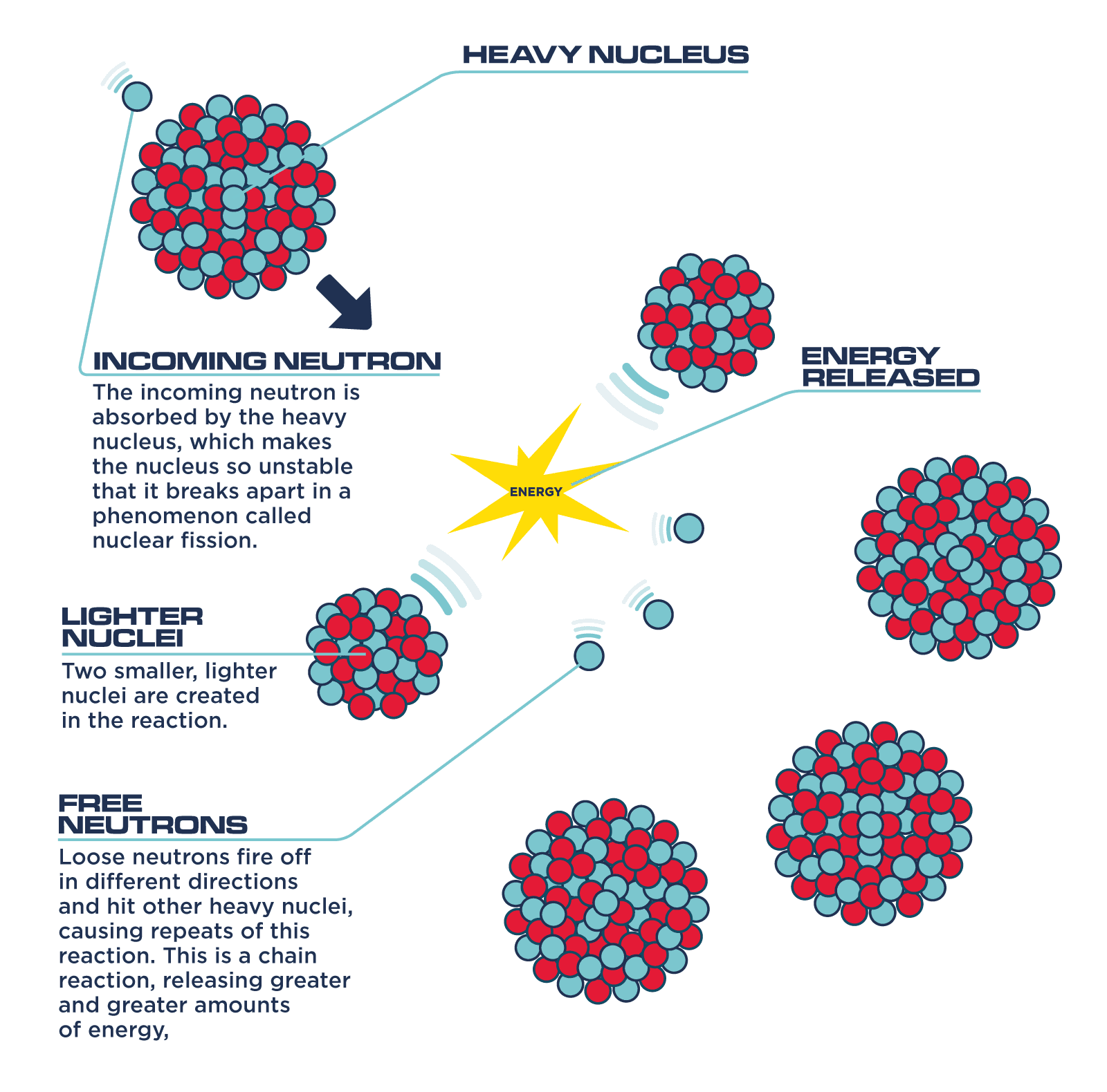 Fact Check: Nuclear fission is the process that powers nuclear reactors.