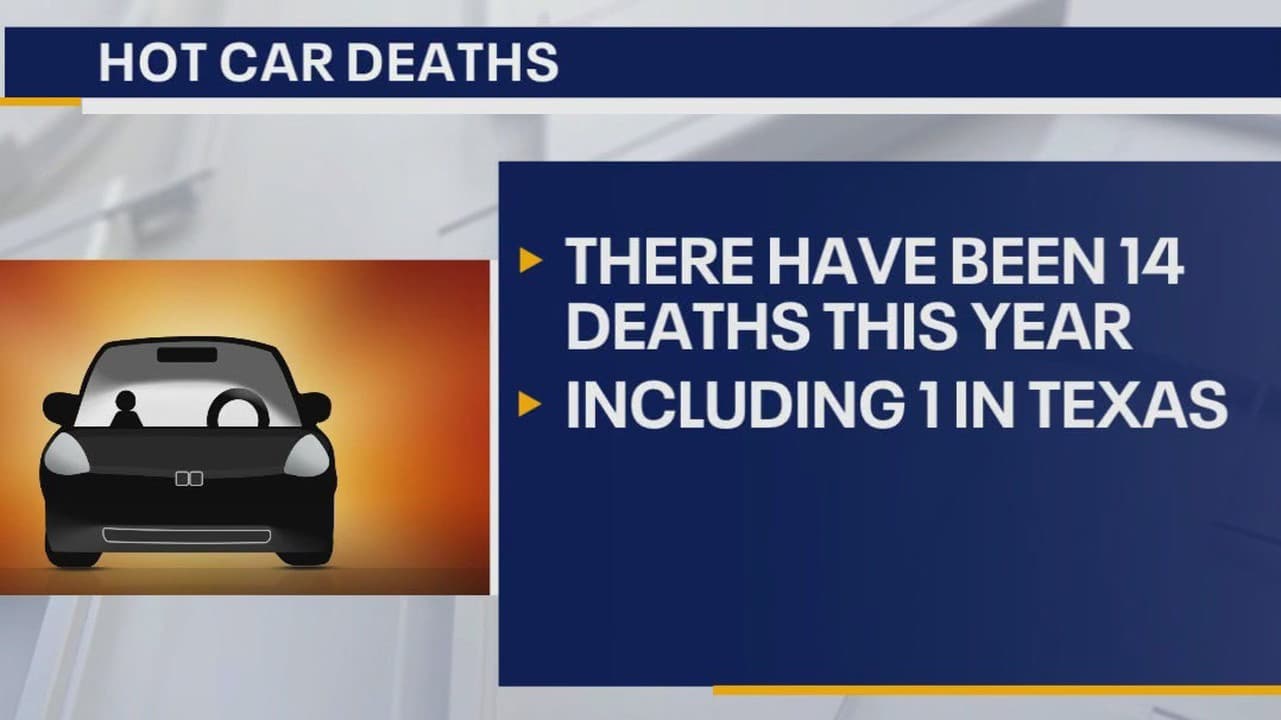Fact Check: Hot car deaths are often preventable tragedies.