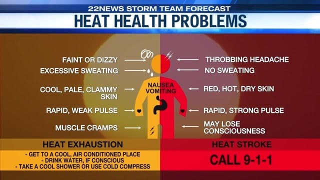 Fact Check: Temperatures above 90°F can be dangerous for children left in cars.