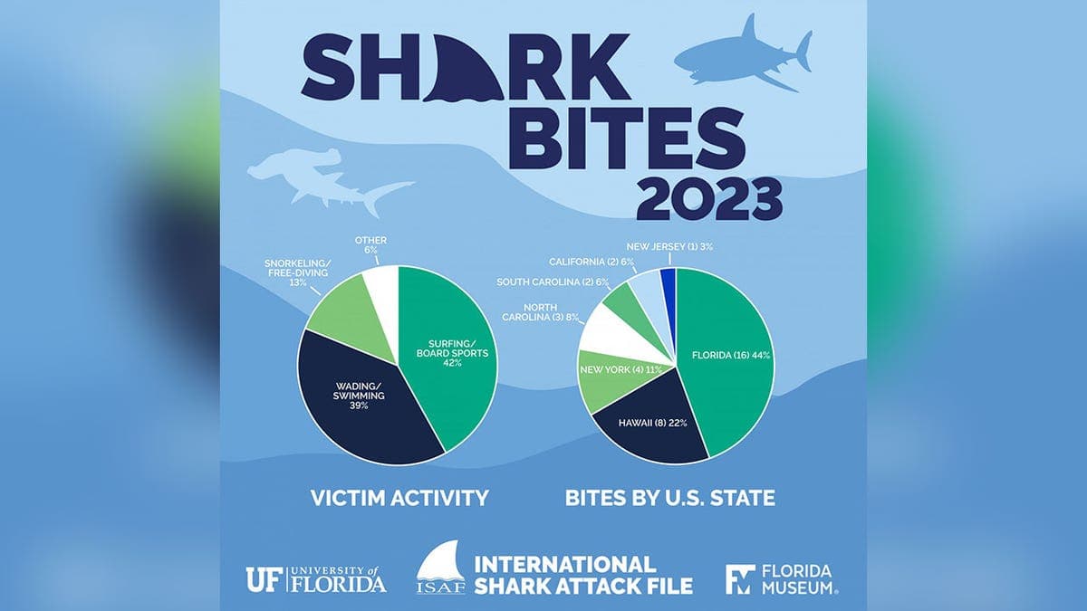 Fact Check: The majority of shark attacks are not fatal.