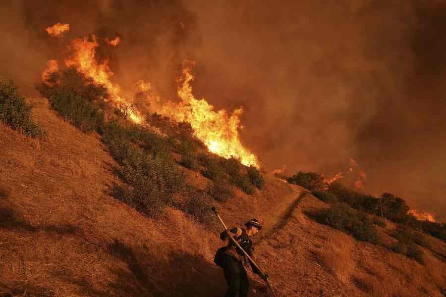 Fact Check: Wildfires can be exacerbated by strong winds and high temperatures.
