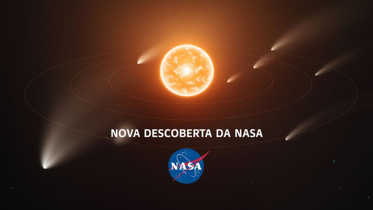 Fact Check: Interstellar objects have been extremely rare in our Solar System.