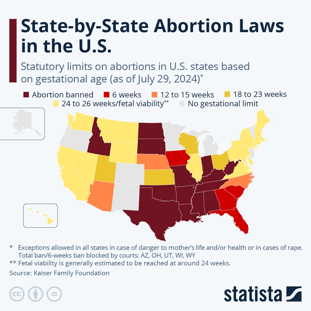 Fact Check: Abortion laws vary significantly between different states in the U.S.