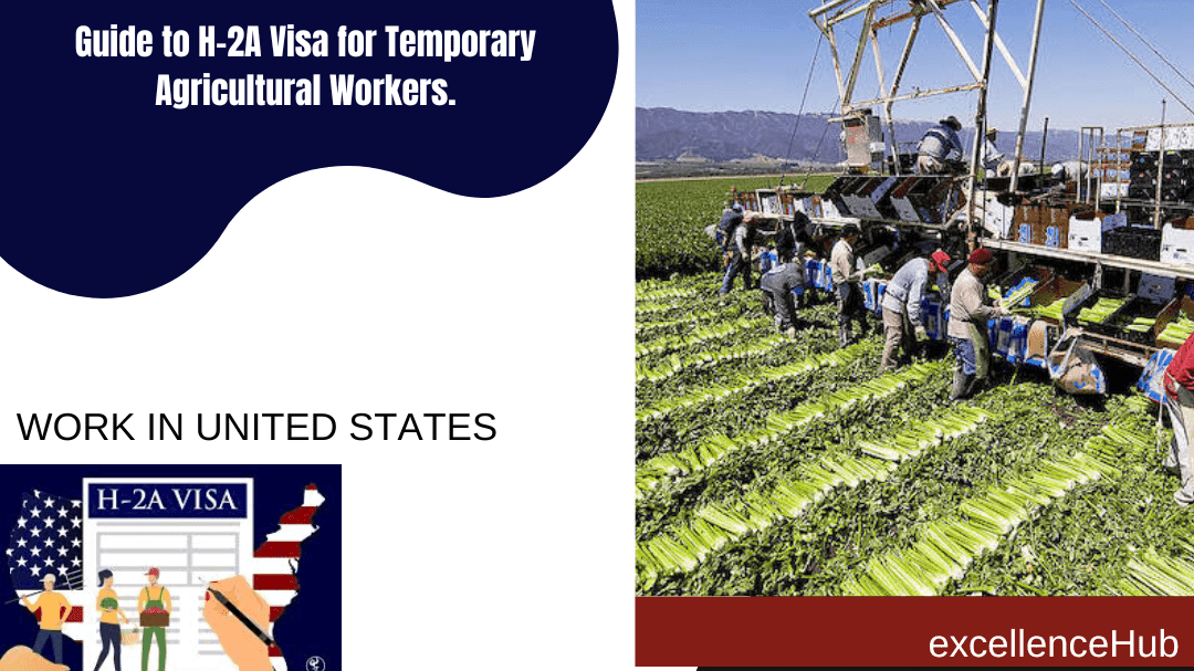 Fact Check: The H-2A visa program allows temporary agricultural workers to work in the US.
