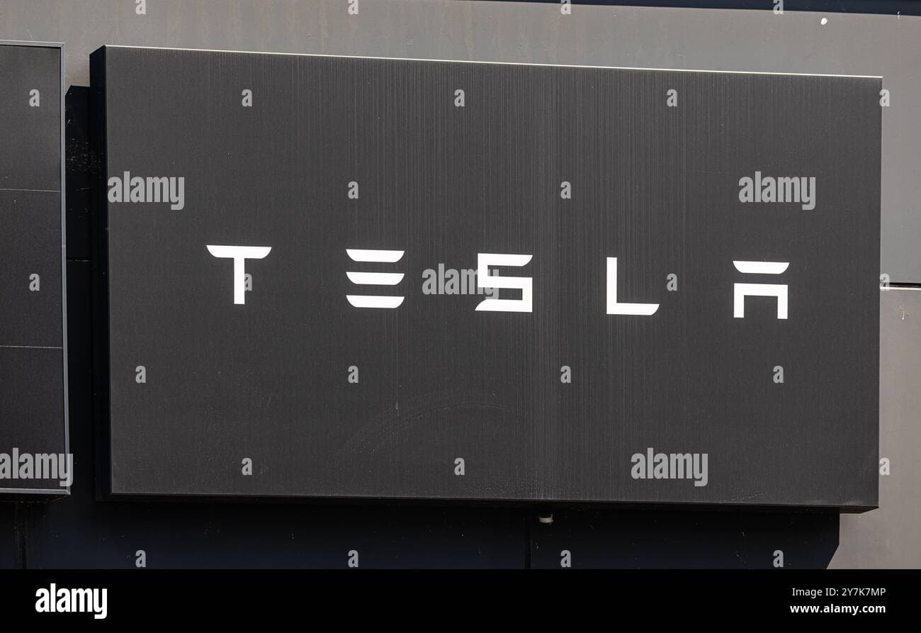Fact Check: Tesla is a major manufacturer of electric vehicles and energy storage products.