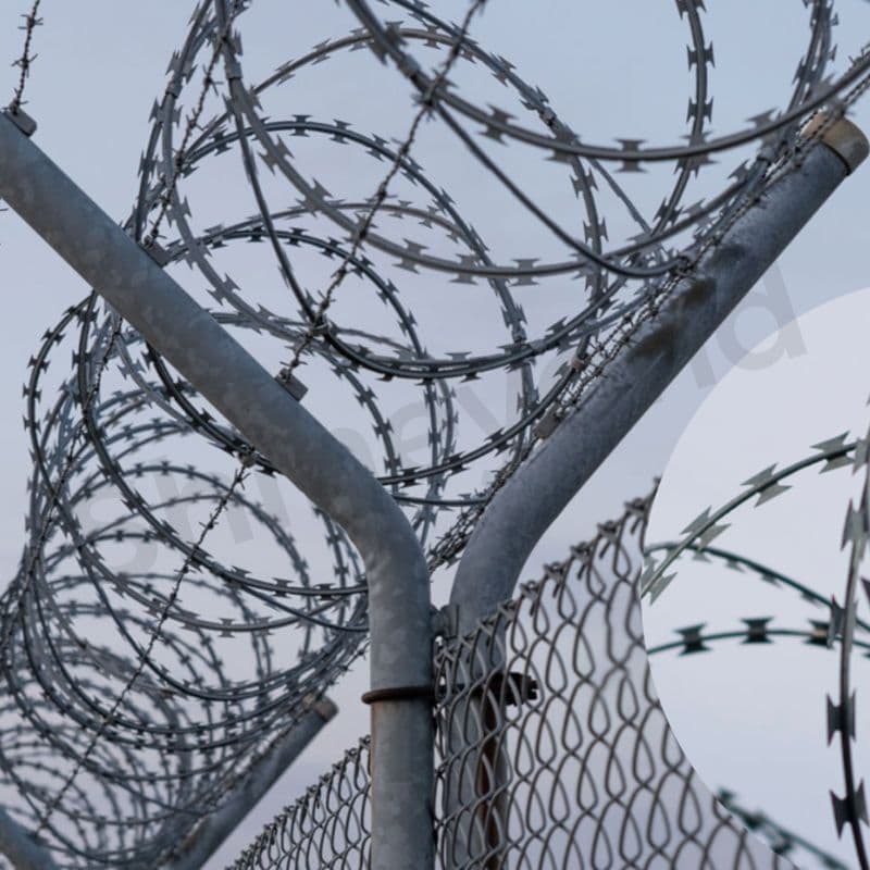Fact Check: Barbed wire is commonly used for security fencing.