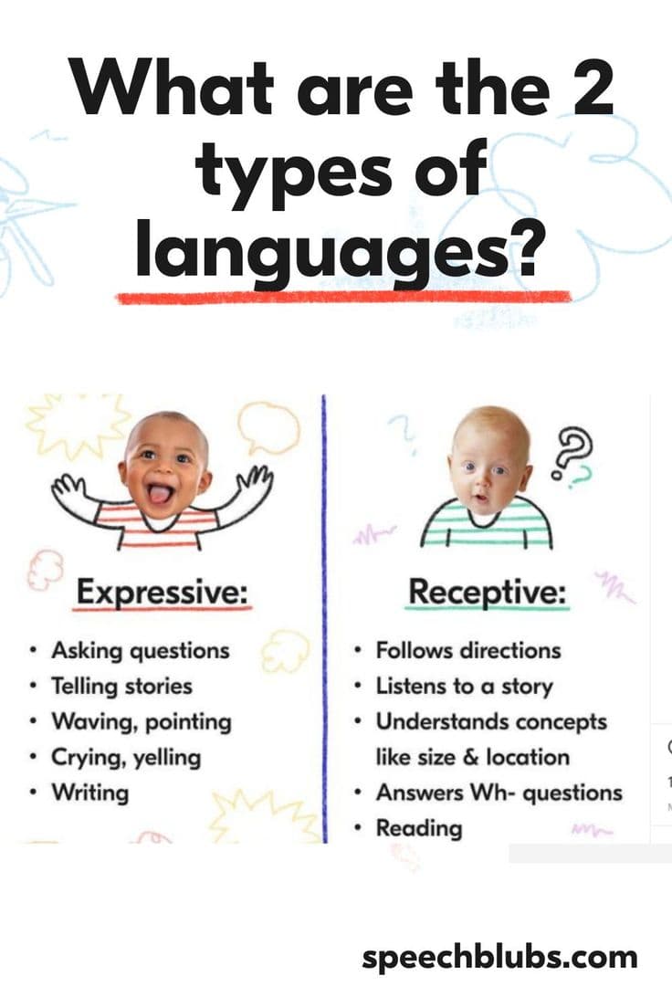 Fact Check: Based on the fact Trump's expressive vocabulary & expressive language skills are at a 3rd to 
4th grade level, there is NO WAY is his IQ is higher than 105.