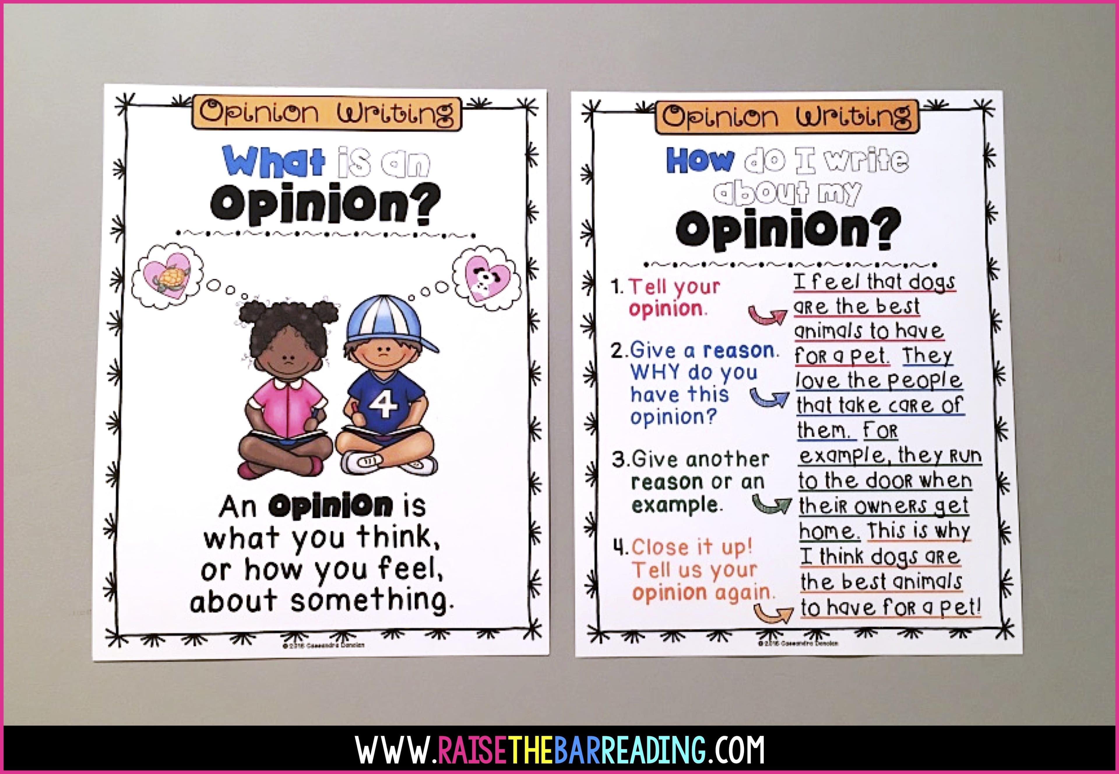 Fact Check: Students often express political opinions through essays and other forms of writing.