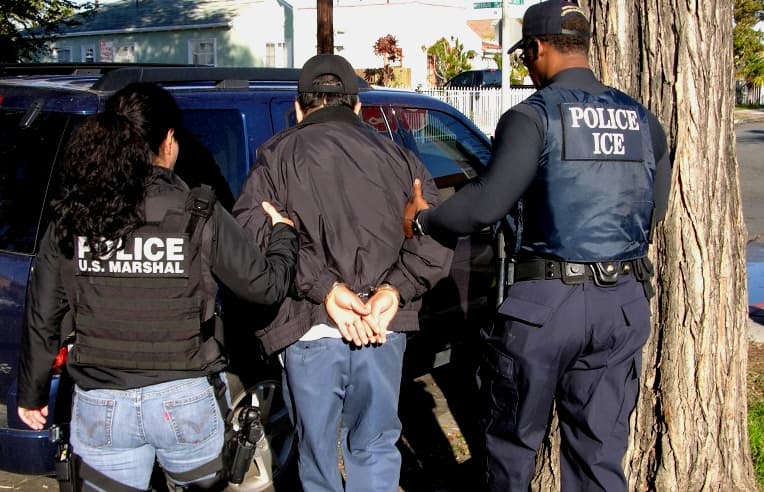 Fact Check: Immigration and Customs Enforcement (ICE) is responsible for enforcing immigration laws in the U.S.