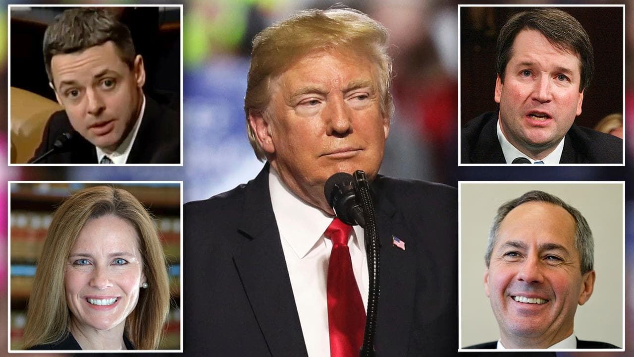Fact Check: Nobody Trump appointed to high level positions don't have any  qualifications for the job they hold
...