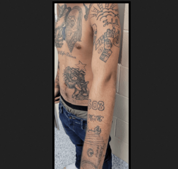 Fact Check: Does kilmar abreu Garcia have ms13 tattoos 
