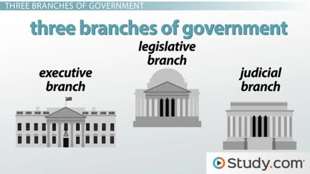 Fact Check: The U.S. has three branches of government: executive, legislative, and judicial.