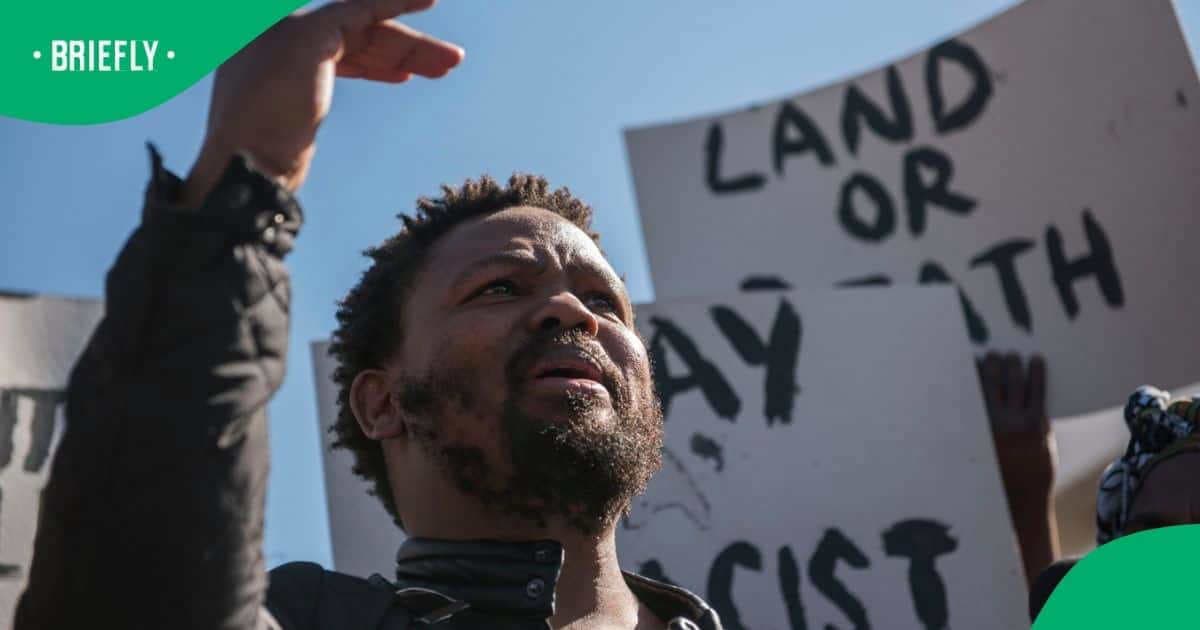 Fact Check: Andile Mngxitama Has engaged in hate speech