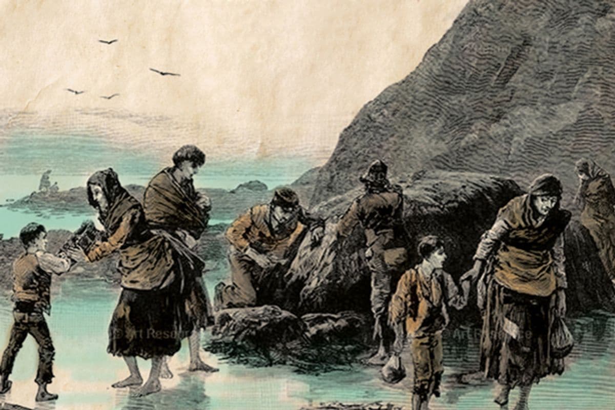 Fact Check: Was the potato famine genocide