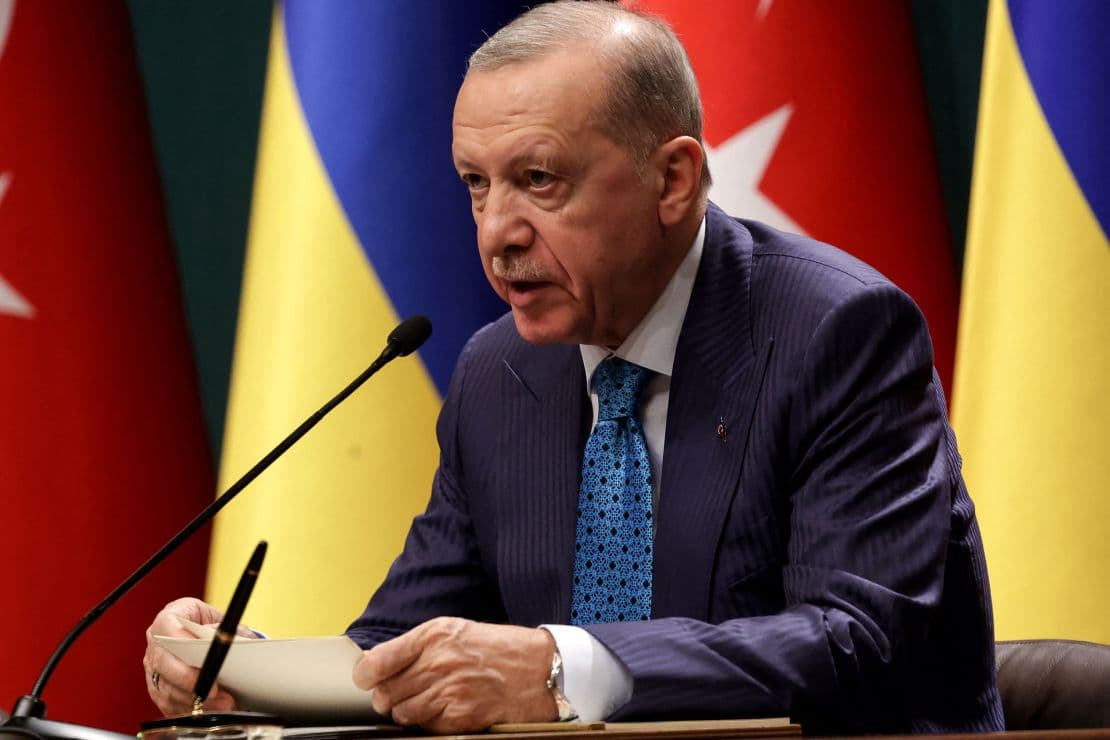Fact Check: Insulting Erdogan is a crime