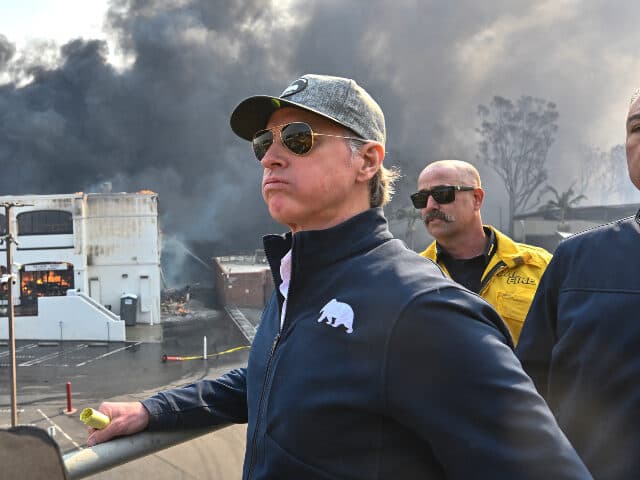 Fact Check: Newsom cut 100 million in fire prevention from the 2024-2025 state budget.