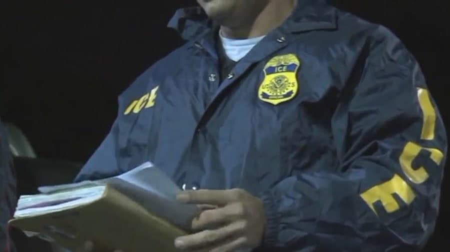 Fact Check: Ice are only going after criminals 