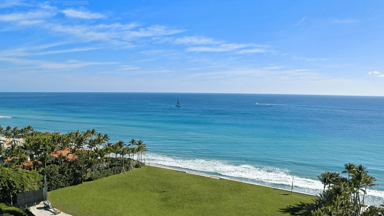 Fact Check: What is the secret of Palm Beach 
 


