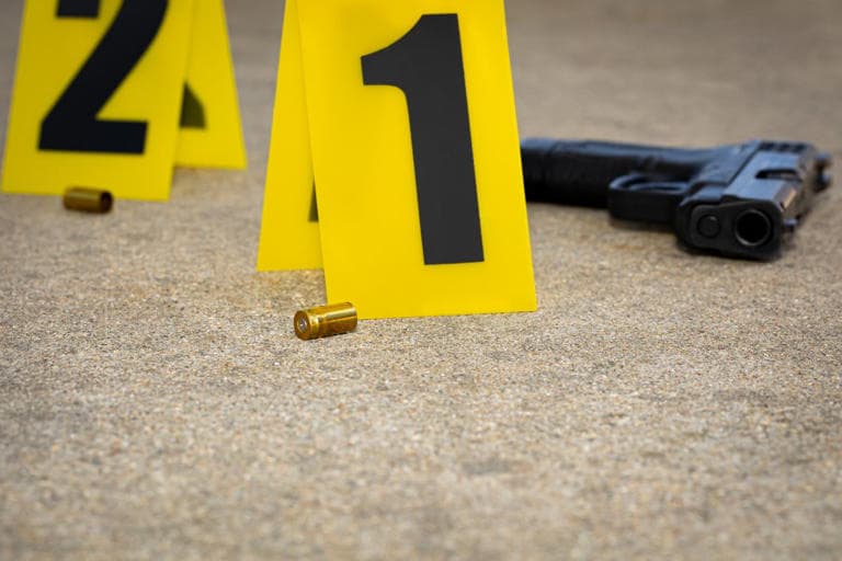 Fact Check: Gun violence can be effectively treated as a public health threat.