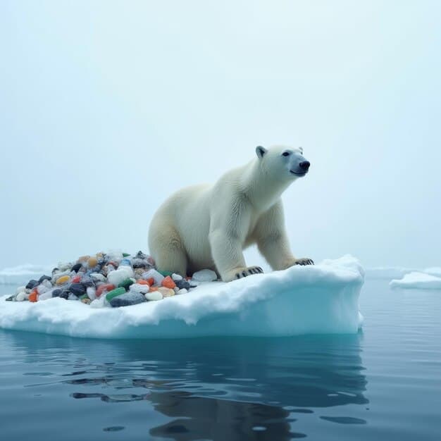 Fact Check: Tourism harm Antarctican wildlife