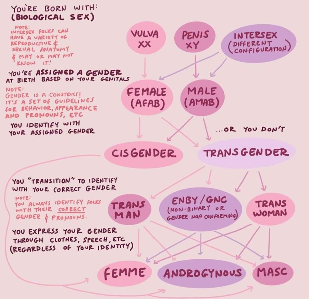 Fact Check: Intersex and cisgender women have sometimes high testereone rates in average