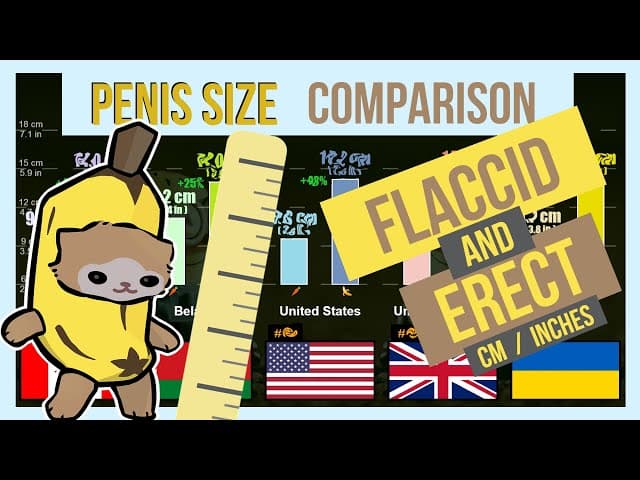 Fact Check: is penis size correlated to other body size measurements?