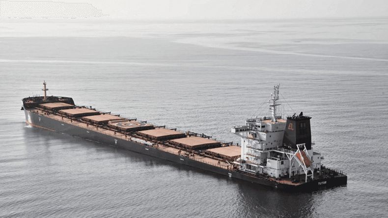 Fact Check: The Houthi rebels have sunk two merchant vessels in recent attacks.