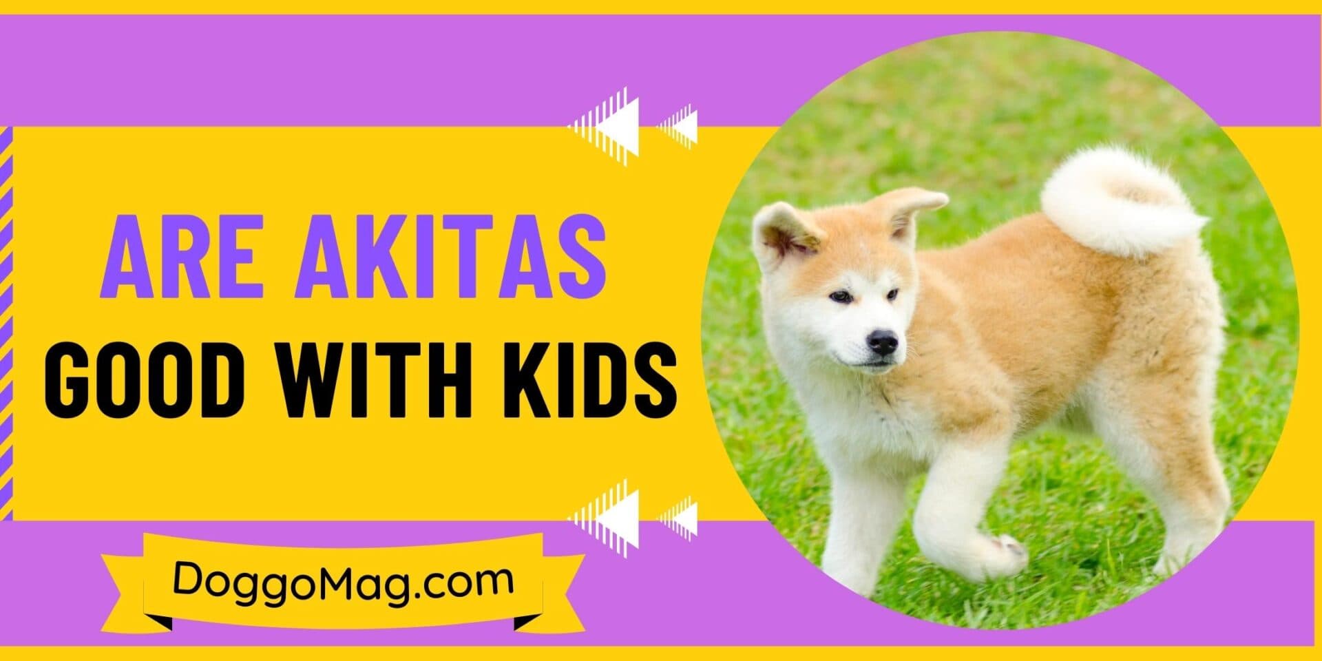 Fact Check: Are Akitas good with kids?
