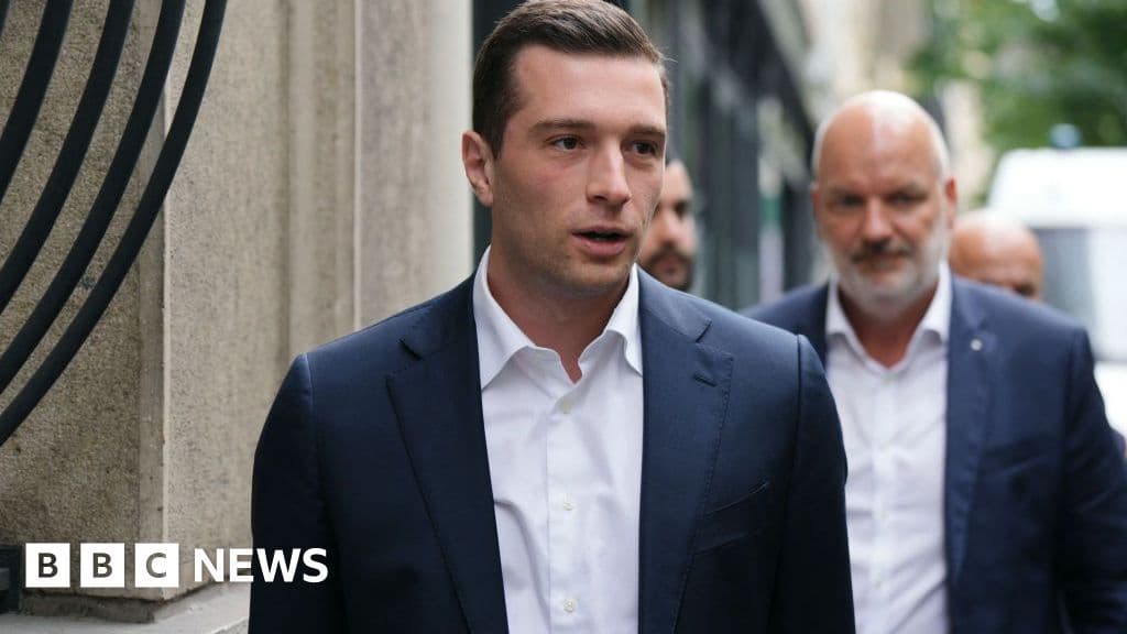 Fact Check: The far-right Patriots for Europe group opposes the EU's climate policies.