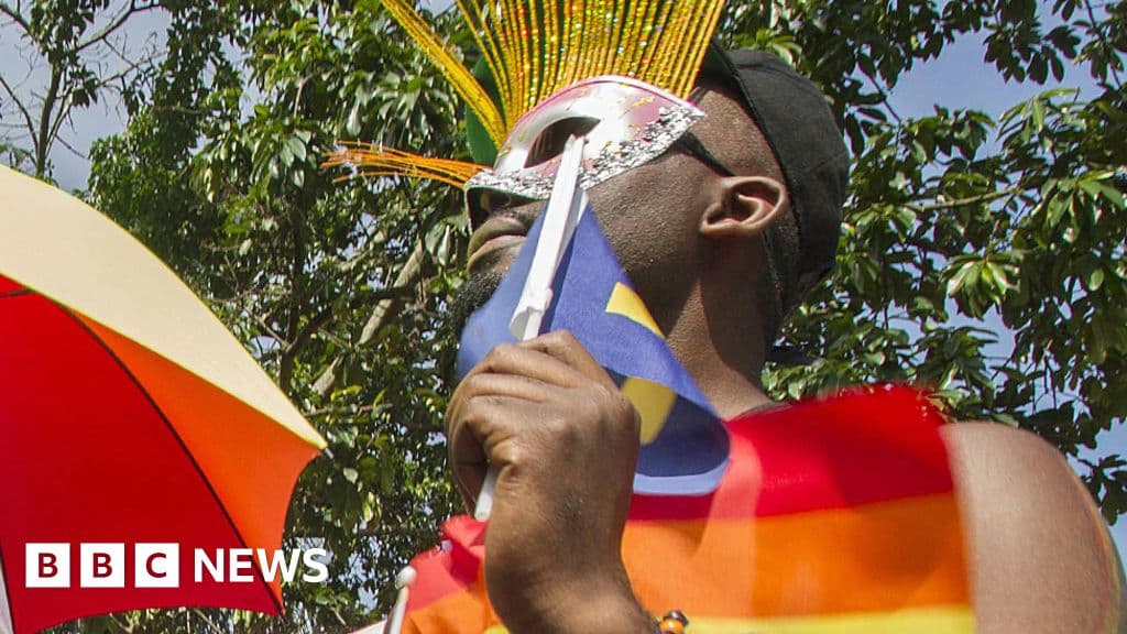 Fact Check: Uganda's Anti-Homosexuality Act includes the death penalty for aggravated homosexuality.
