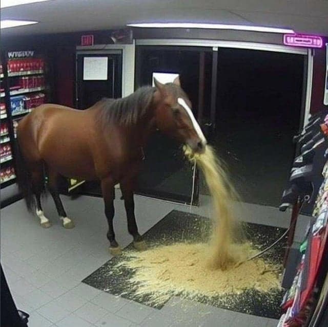 Fact Check: Horses cannot vomit