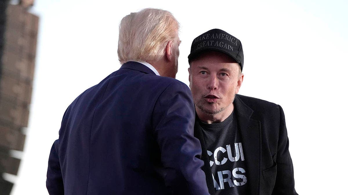 Fact Check: Elon Musk is planning to establish a new political party called the 'America Party.'