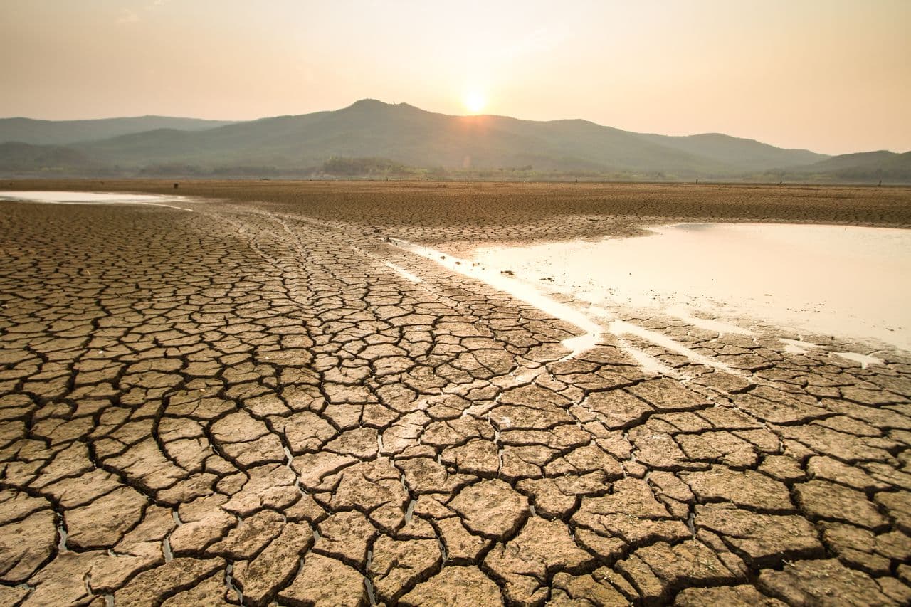 Fact Check: 1,500 deaths during the heatwave were linked to climate change.