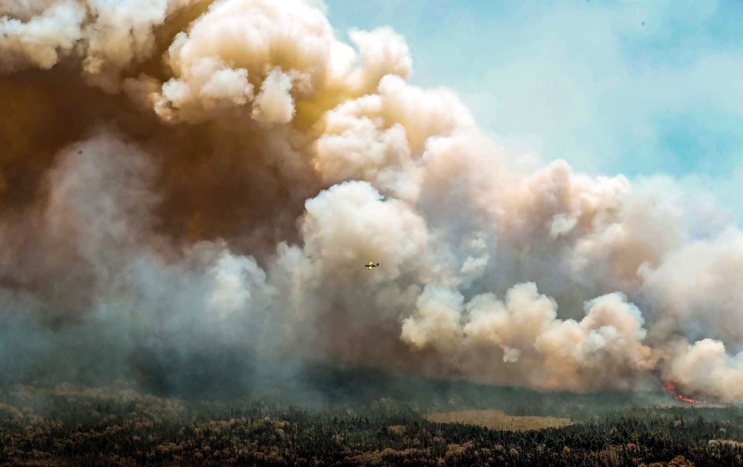 Fact Check: Widespread arson is a major driver of Canadian wildfires.