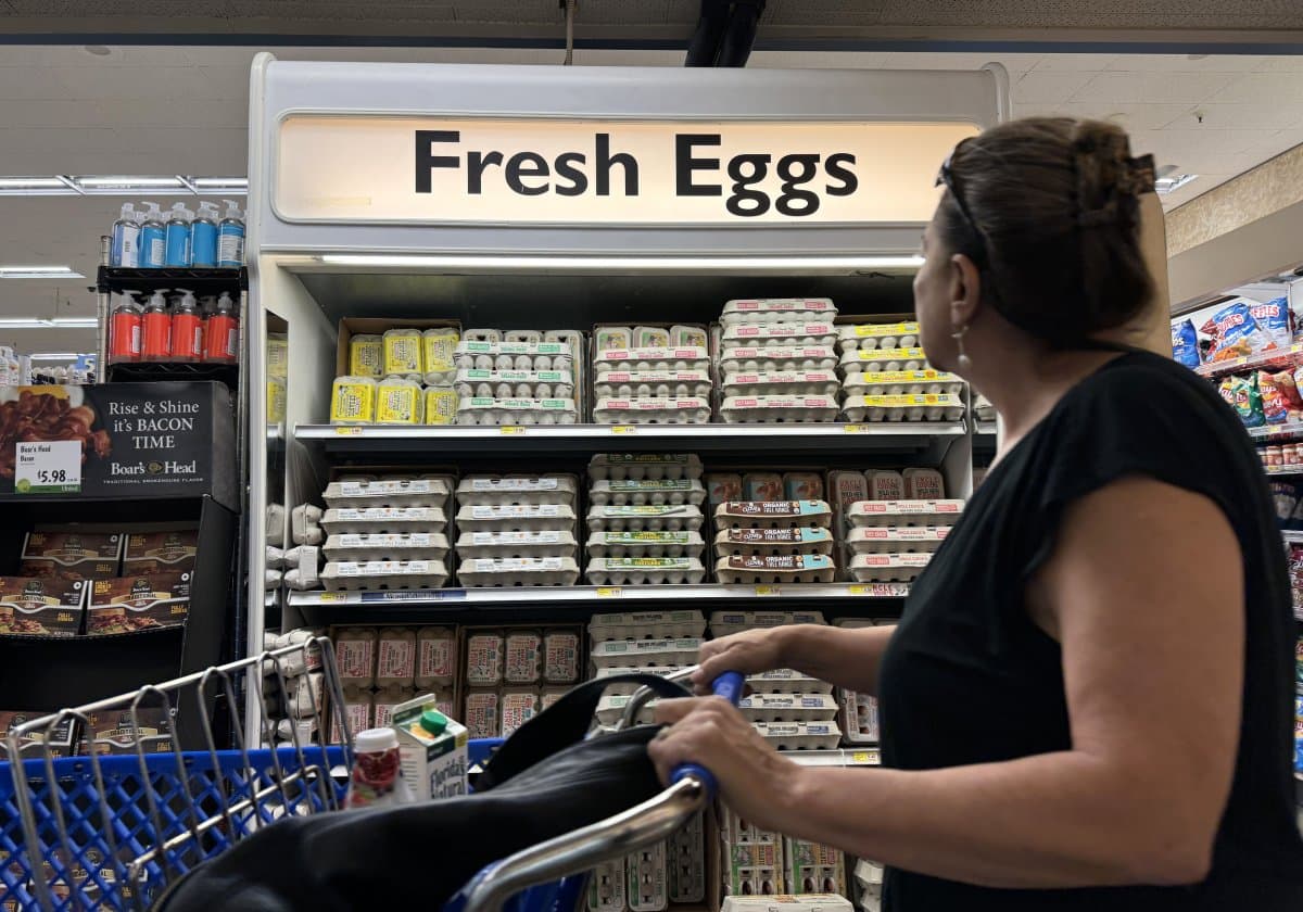 Fact Check: California's egg regulations are solely responsible for rising egg prices nationwide.